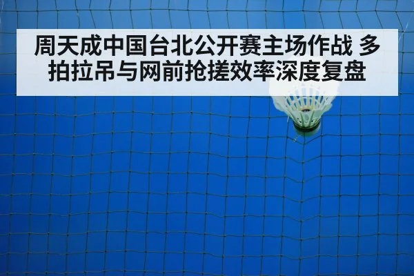 badminton net shot
